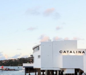 Gift Card - Catalina